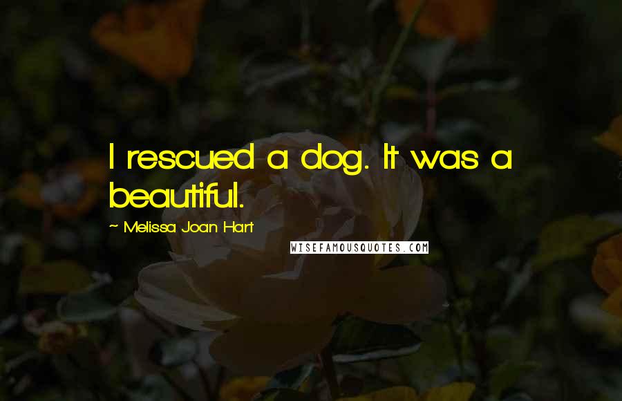 Melissa Joan Hart Quotes: I rescued a dog. It was a beautiful.