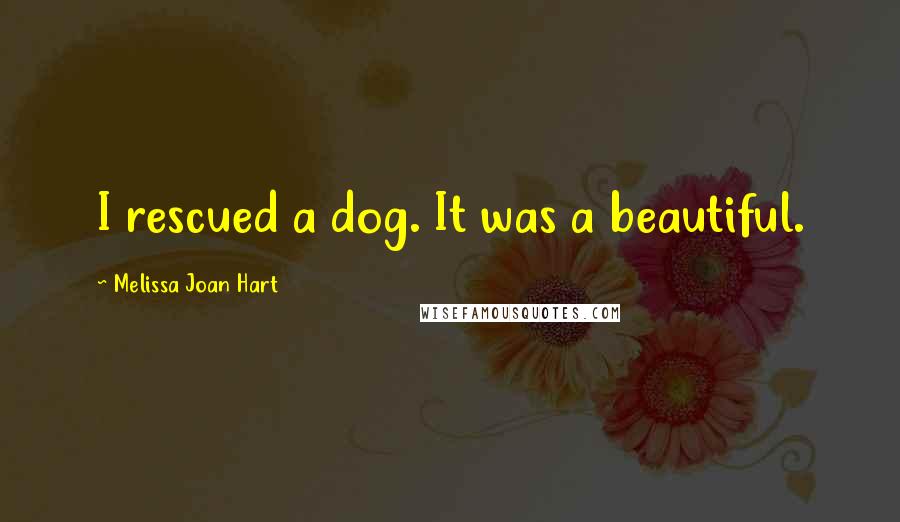 Melissa Joan Hart Quotes: I rescued a dog. It was a beautiful.