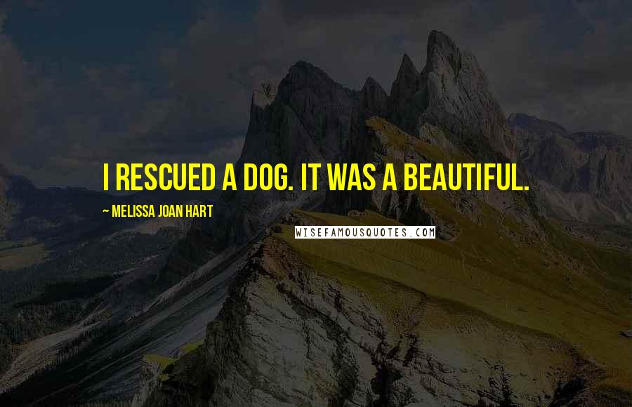 Melissa Joan Hart Quotes: I rescued a dog. It was a beautiful.