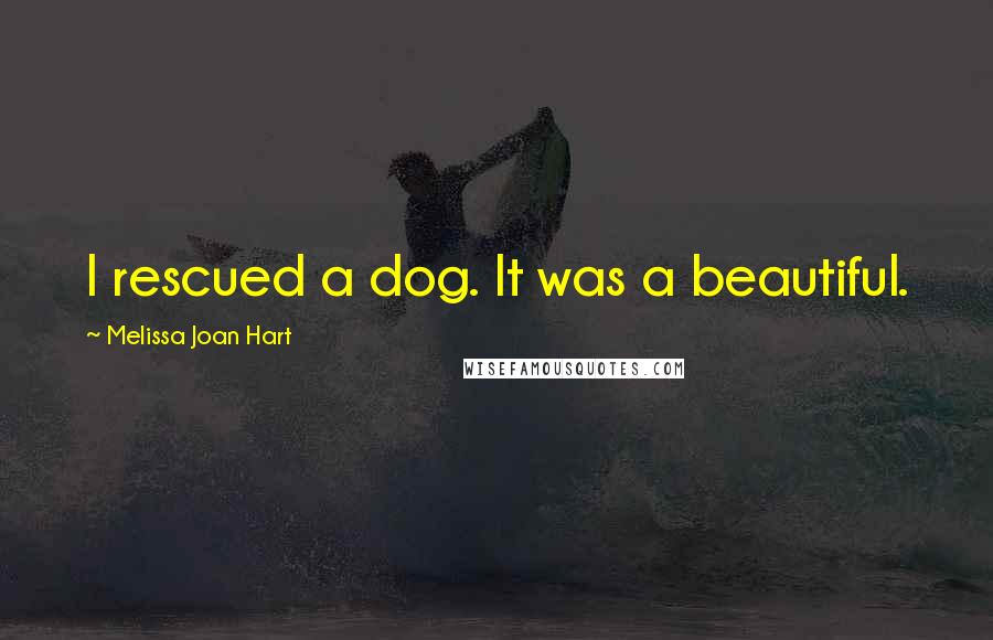 Melissa Joan Hart Quotes: I rescued a dog. It was a beautiful.