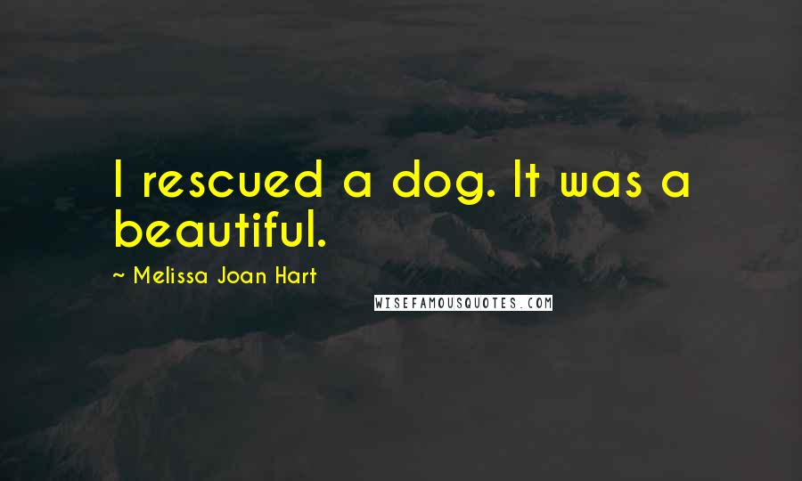 Melissa Joan Hart Quotes: I rescued a dog. It was a beautiful.