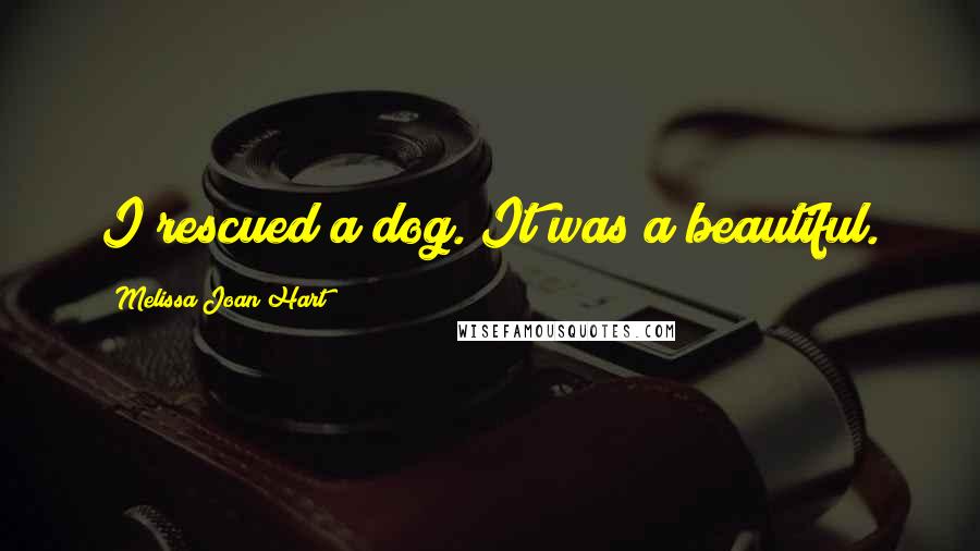 Melissa Joan Hart Quotes: I rescued a dog. It was a beautiful.