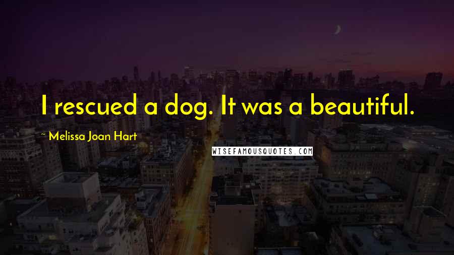 Melissa Joan Hart Quotes: I rescued a dog. It was a beautiful.