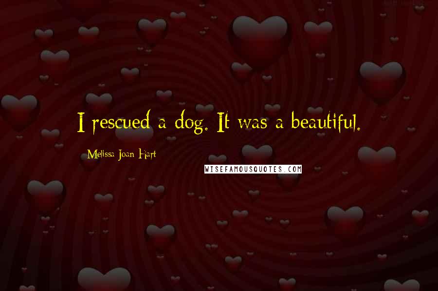 Melissa Joan Hart Quotes: I rescued a dog. It was a beautiful.