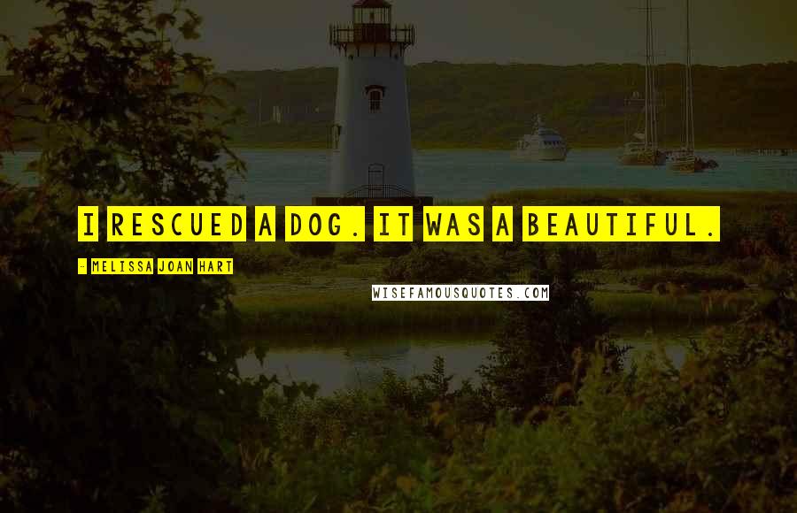 Melissa Joan Hart Quotes: I rescued a dog. It was a beautiful.