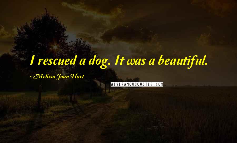 Melissa Joan Hart Quotes: I rescued a dog. It was a beautiful.