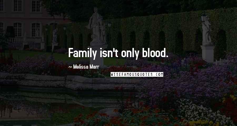 Melissa Marr Quotes: Family isn't only blood.