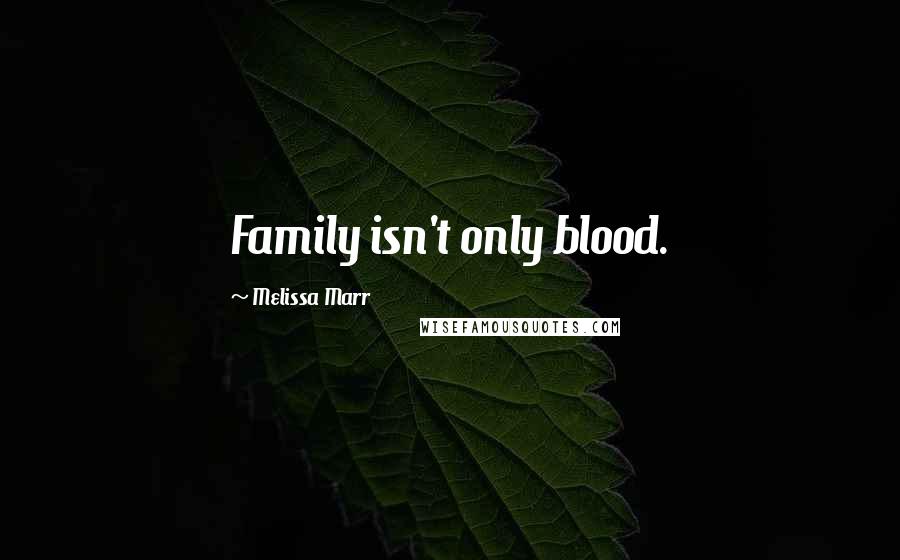 Melissa Marr Quotes: Family isn't only blood.
