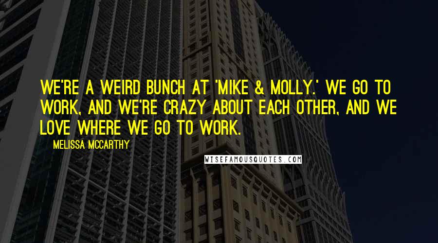 Melissa McCarthy Quotes: We're a weird bunch at 'Mike & Molly.' We go to work, and we're crazy about each other, and we love where we go to work.