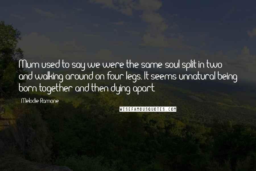 Melodie Ramone Quotes: Mum used to say we were the same soul split in two and walking around on four legs. It seems unnatural being born together and then dying apart.