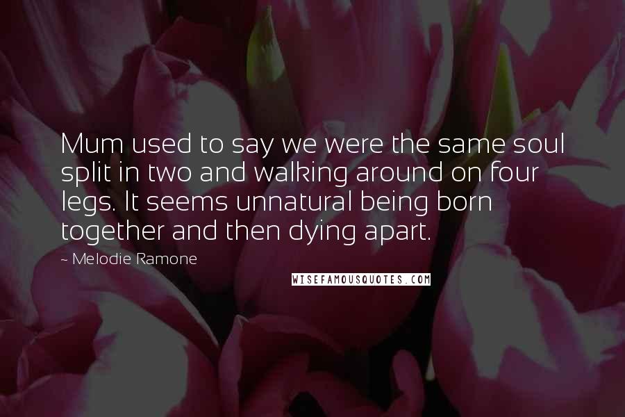 Melodie Ramone Quotes: Mum used to say we were the same soul split in two and walking around on four legs. It seems unnatural being born together and then dying apart.