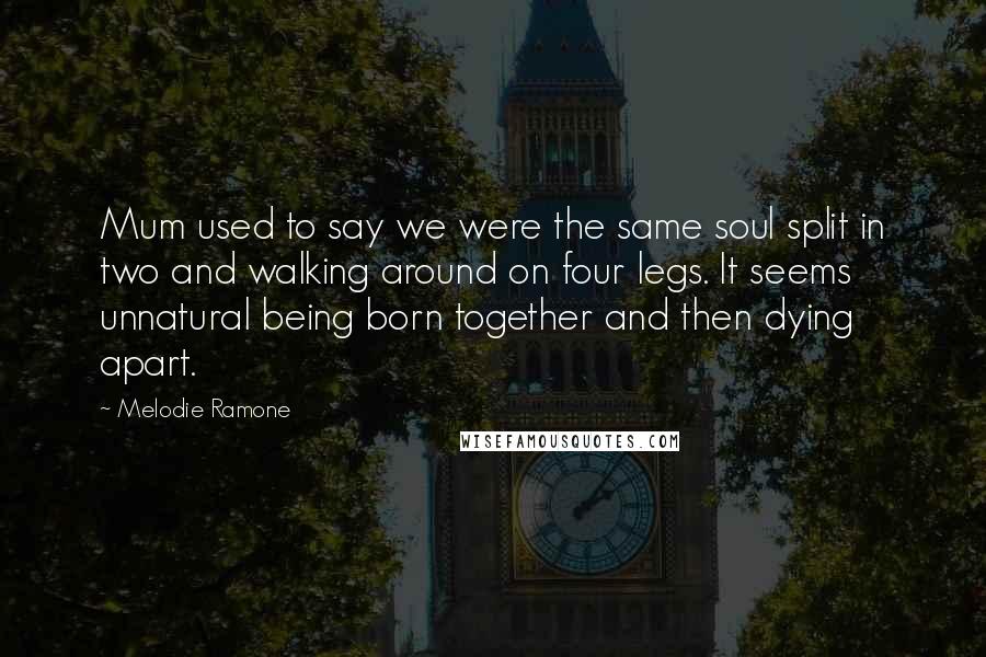 Melodie Ramone Quotes: Mum used to say we were the same soul split in two and walking around on four legs. It seems unnatural being born together and then dying apart.