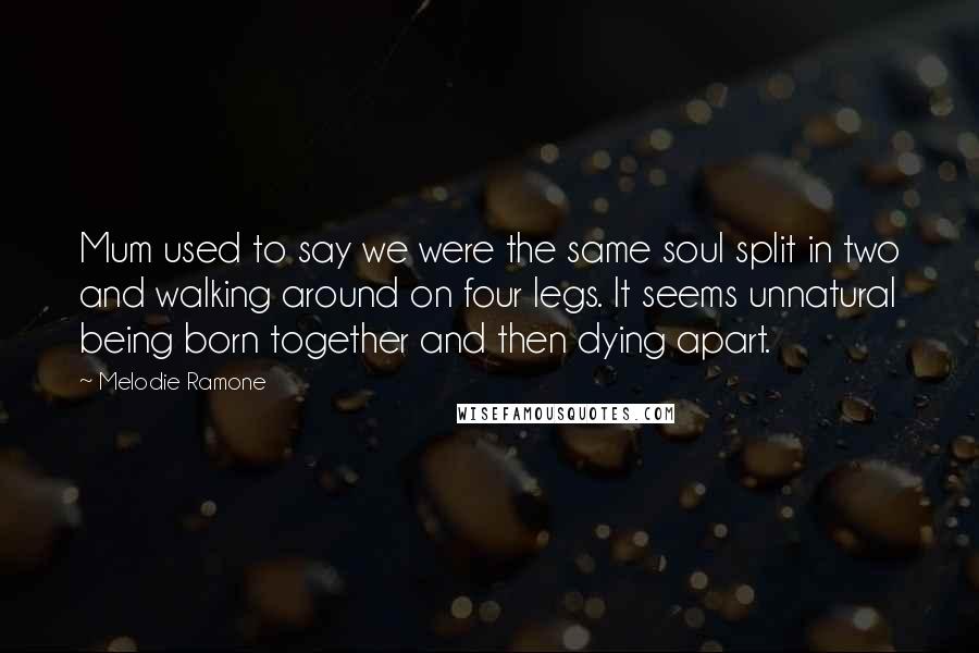 Melodie Ramone Quotes: Mum used to say we were the same soul split in two and walking around on four legs. It seems unnatural being born together and then dying apart.