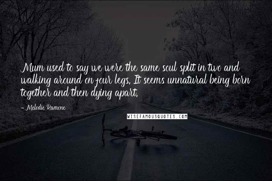 Melodie Ramone Quotes: Mum used to say we were the same soul split in two and walking around on four legs. It seems unnatural being born together and then dying apart.