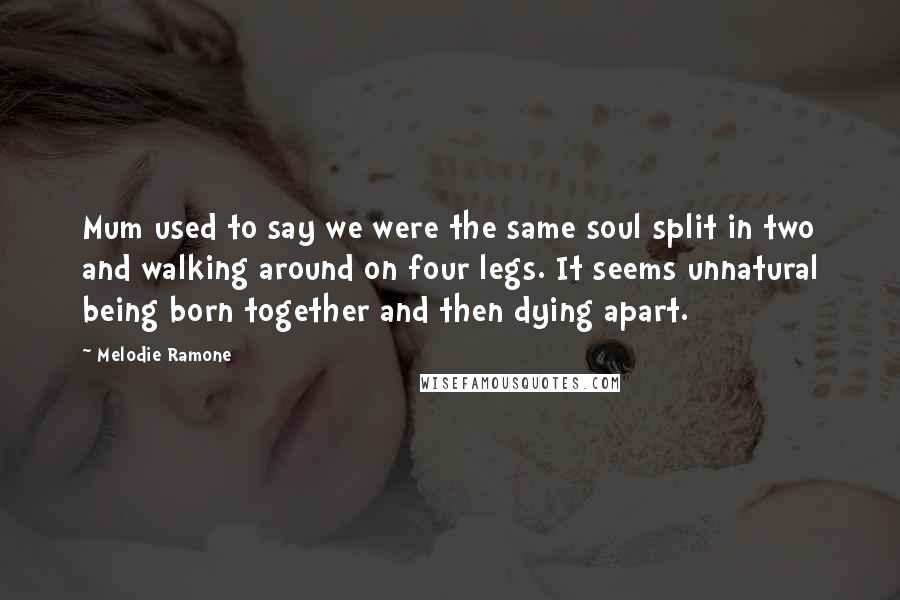 Melodie Ramone Quotes: Mum used to say we were the same soul split in two and walking around on four legs. It seems unnatural being born together and then dying apart.