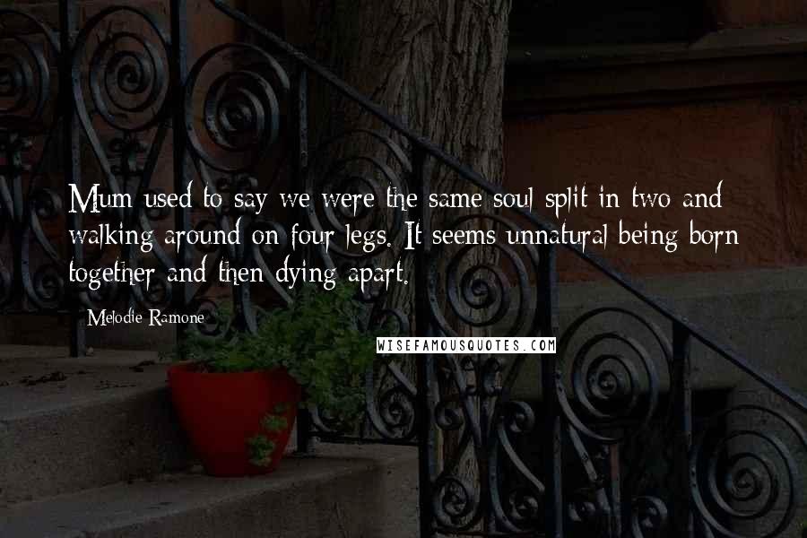 Melodie Ramone Quotes: Mum used to say we were the same soul split in two and walking around on four legs. It seems unnatural being born together and then dying apart.