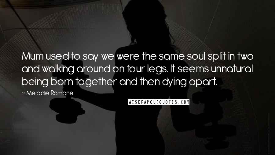 Melodie Ramone Quotes: Mum used to say we were the same soul split in two and walking around on four legs. It seems unnatural being born together and then dying apart.