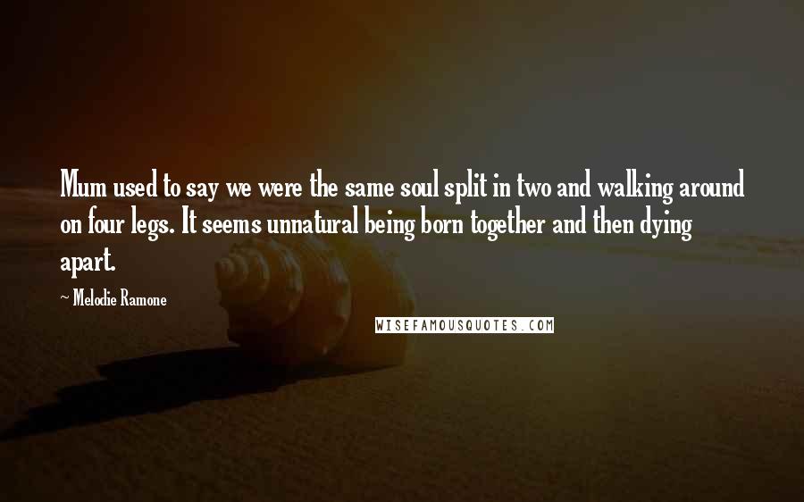 Melodie Ramone Quotes: Mum used to say we were the same soul split in two and walking around on four legs. It seems unnatural being born together and then dying apart.