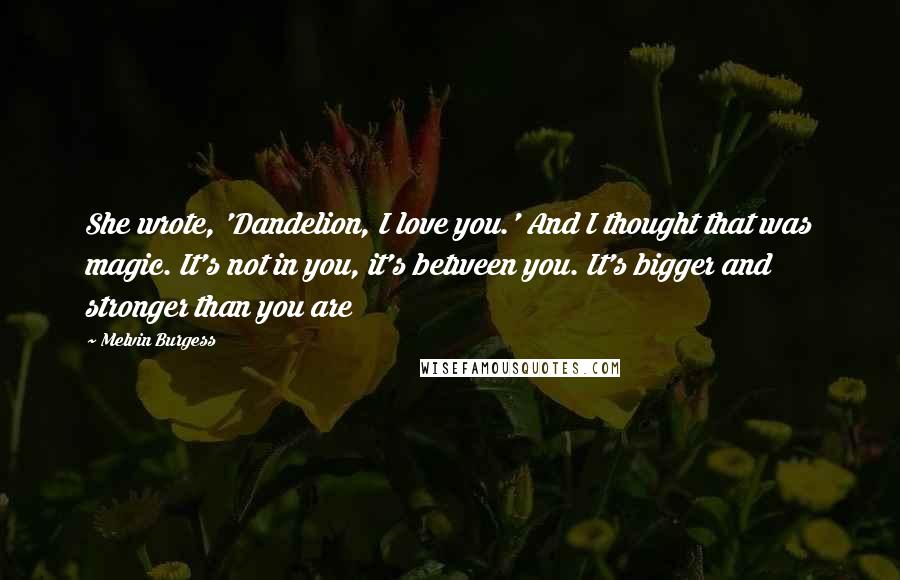 Melvin Burgess Quotes: She wrote, 'Dandelion, I love you.' And I thought that was magic. It's not in you, it's between you. It's bigger and stronger than you are