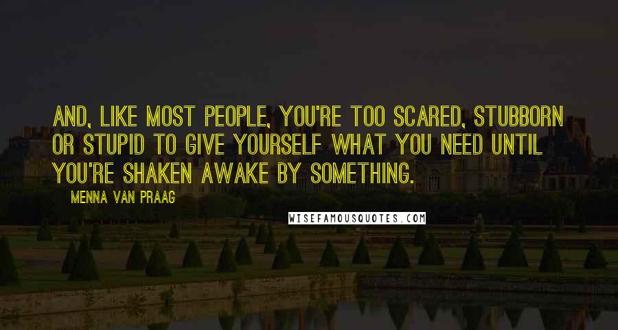 Menna Van Praag Quotes: And, like most people, you're too scared, stubborn or stupid to give yourself what you need until you're shaken awake by something.