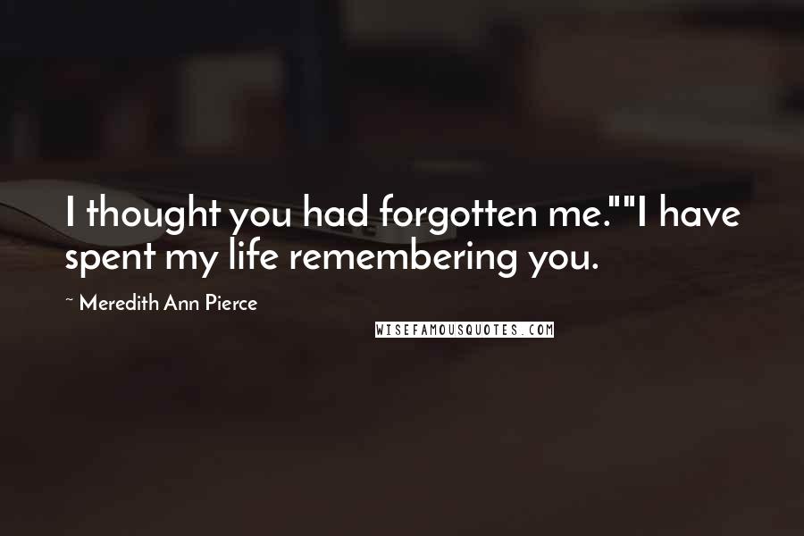 Meredith Ann Pierce Quotes: I thought you had forgotten me.""I have spent my life remembering you.