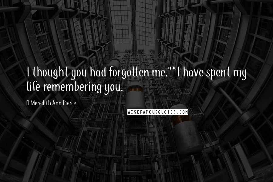 Meredith Ann Pierce Quotes: I thought you had forgotten me.""I have spent my life remembering you.