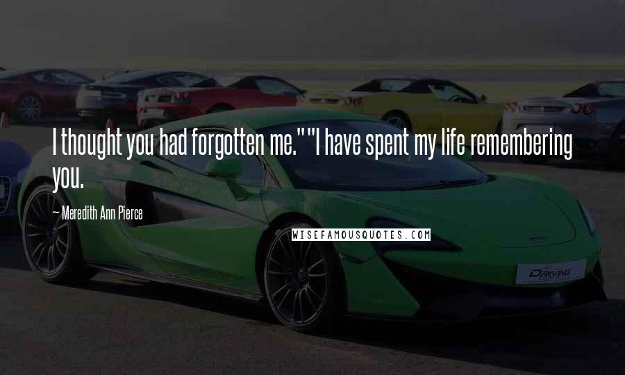 Meredith Ann Pierce Quotes: I thought you had forgotten me.""I have spent my life remembering you.