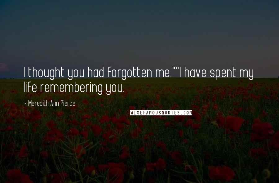 Meredith Ann Pierce Quotes: I thought you had forgotten me.""I have spent my life remembering you.