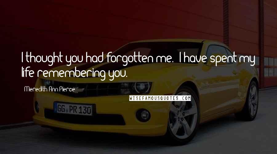 Meredith Ann Pierce Quotes: I thought you had forgotten me.""I have spent my life remembering you.