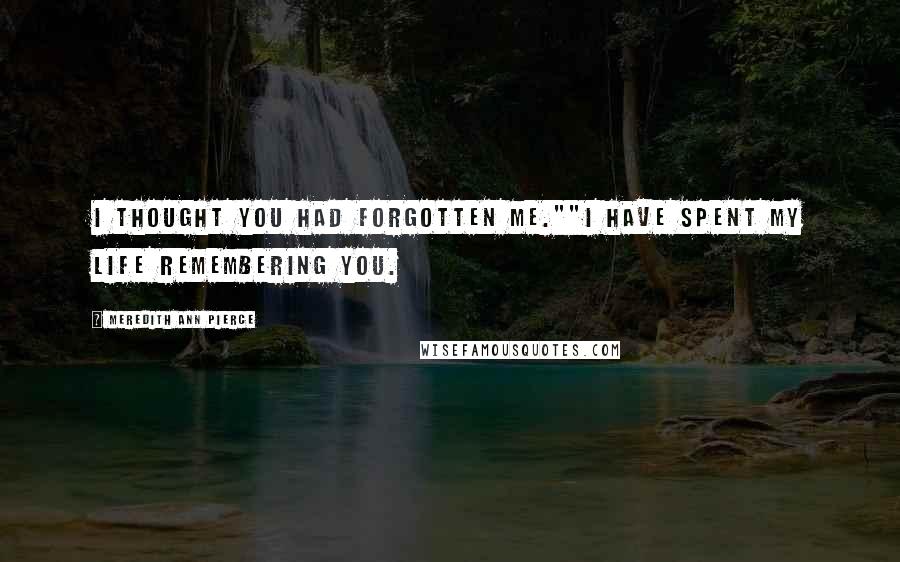 Meredith Ann Pierce Quotes: I thought you had forgotten me.""I have spent my life remembering you.