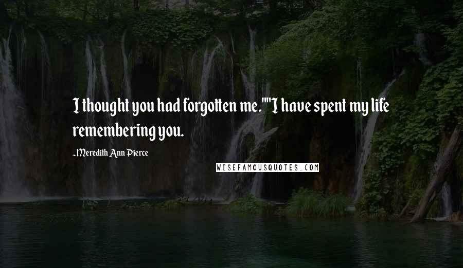 Meredith Ann Pierce Quotes: I thought you had forgotten me.""I have spent my life remembering you.