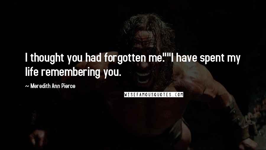 Meredith Ann Pierce Quotes: I thought you had forgotten me.""I have spent my life remembering you.