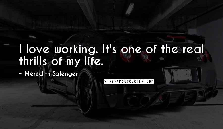 Meredith Salenger Quotes: I love working. It's one of the real thrills of my life.