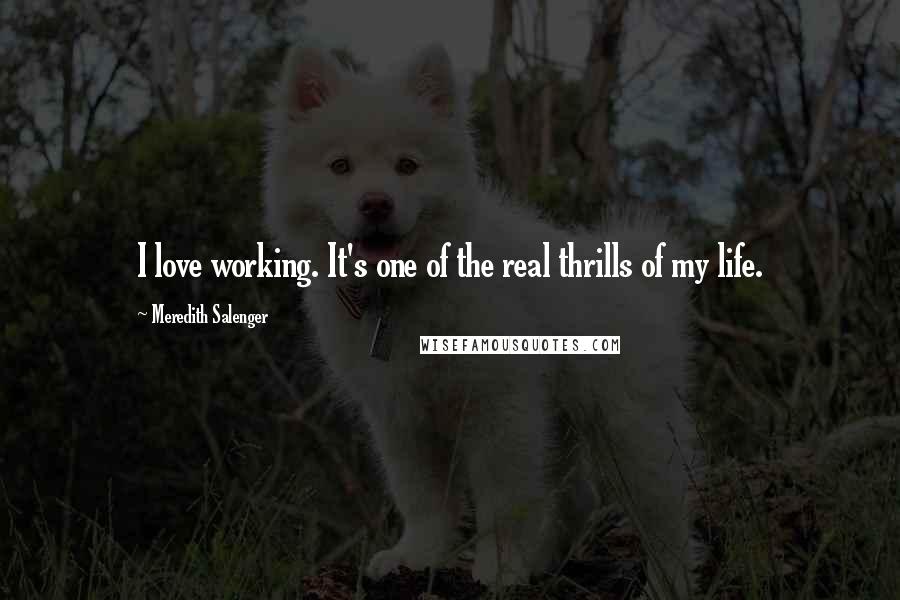 Meredith Salenger Quotes: I love working. It's one of the real thrills of my life.