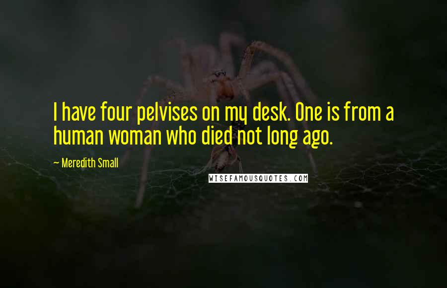 Meredith Small Quotes: I have four pelvises on my desk. One is from a human woman who died not long ago.