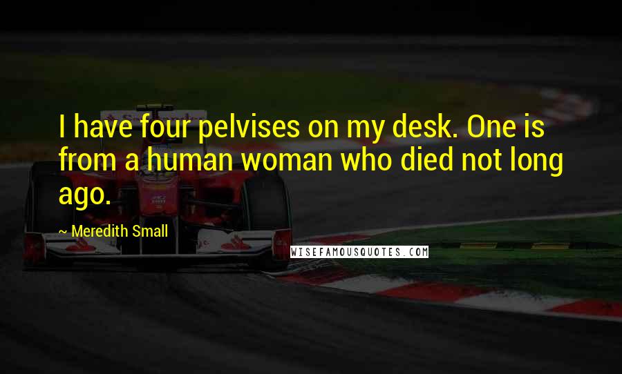 Meredith Small Quotes: I have four pelvises on my desk. One is from a human woman who died not long ago.