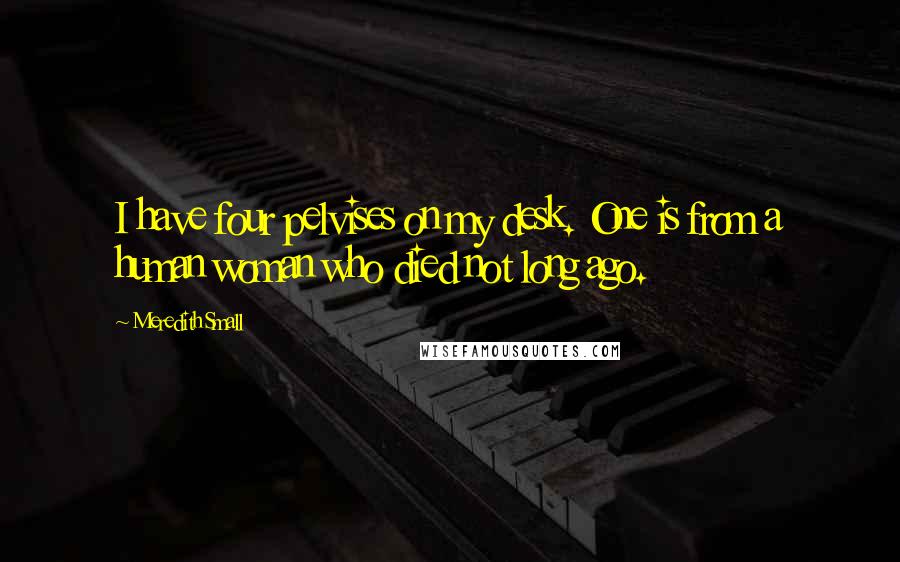 Meredith Small Quotes: I have four pelvises on my desk. One is from a human woman who died not long ago.