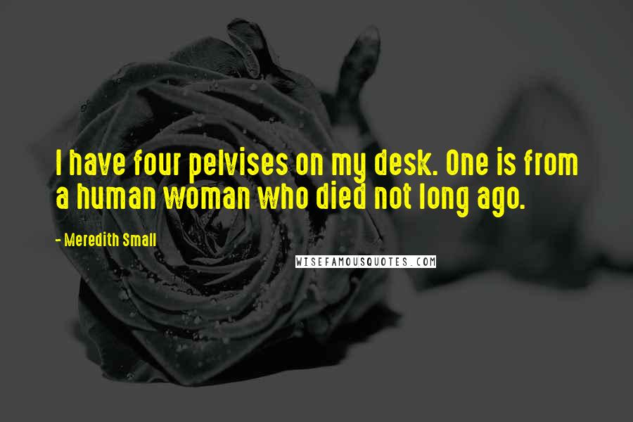 Meredith Small Quotes: I have four pelvises on my desk. One is from a human woman who died not long ago.