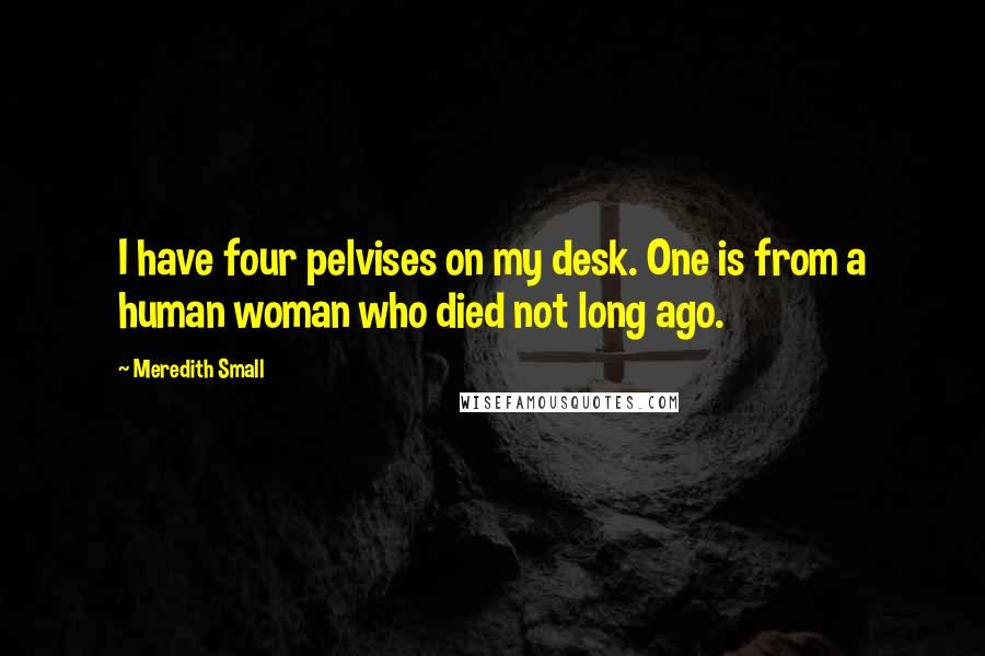 Meredith Small Quotes: I have four pelvises on my desk. One is from a human woman who died not long ago.