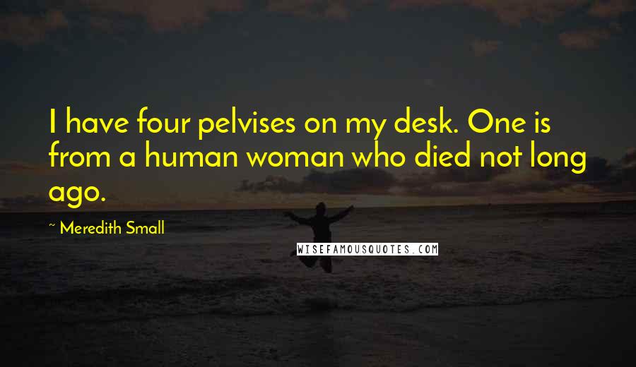 Meredith Small Quotes: I have four pelvises on my desk. One is from a human woman who died not long ago.