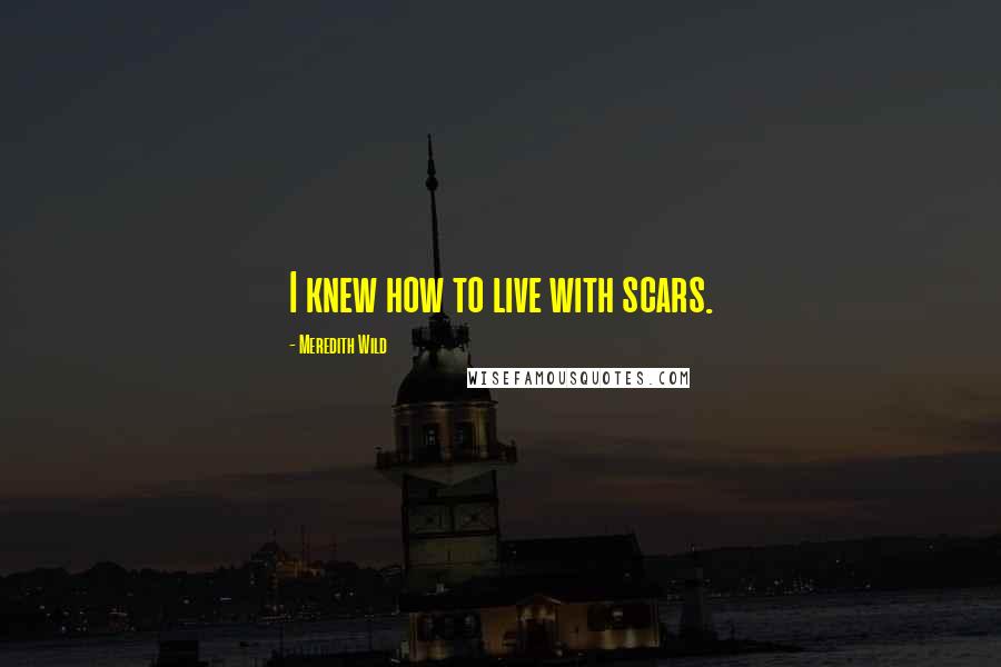 Meredith Wild Quotes: I knew how to live with scars.