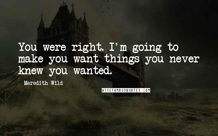 Meredith Wild Quotes: You were right. I'm going to make you want things you never knew you wanted.