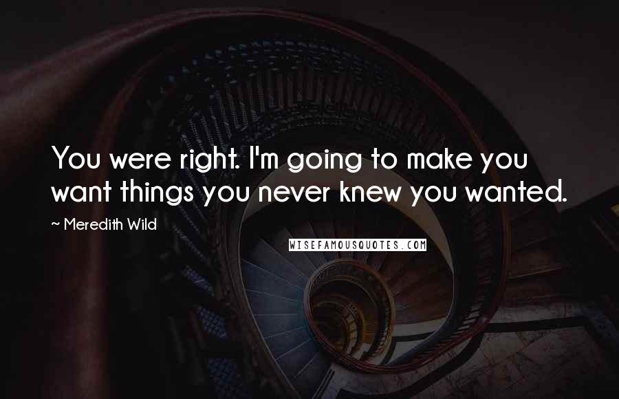 Meredith Wild Quotes: You were right. I'm going to make you want things you never knew you wanted.