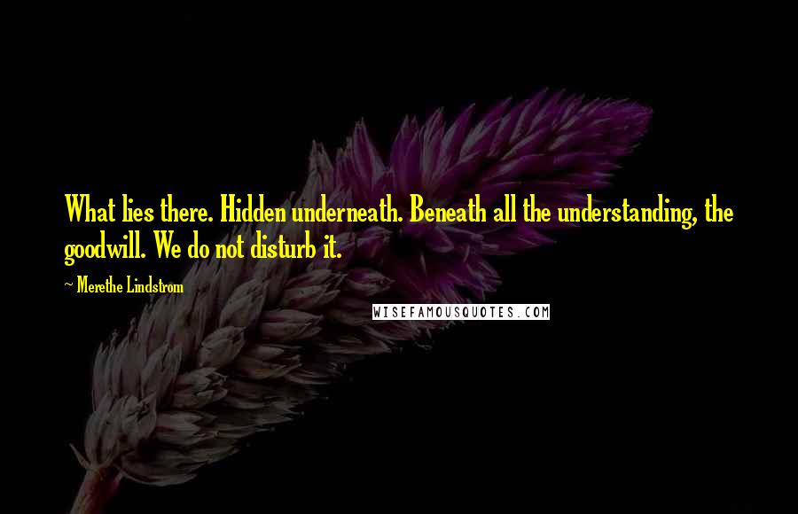 Merethe Lindstrom Quotes: What lies there. Hidden underneath. Beneath all the understanding, the goodwill. We do not disturb it.