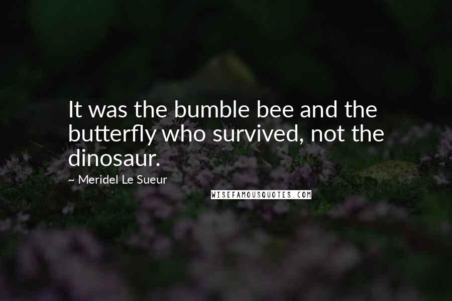 Meridel Le Sueur Quotes: It was the bumble bee and the butterfly who survived, not the dinosaur.