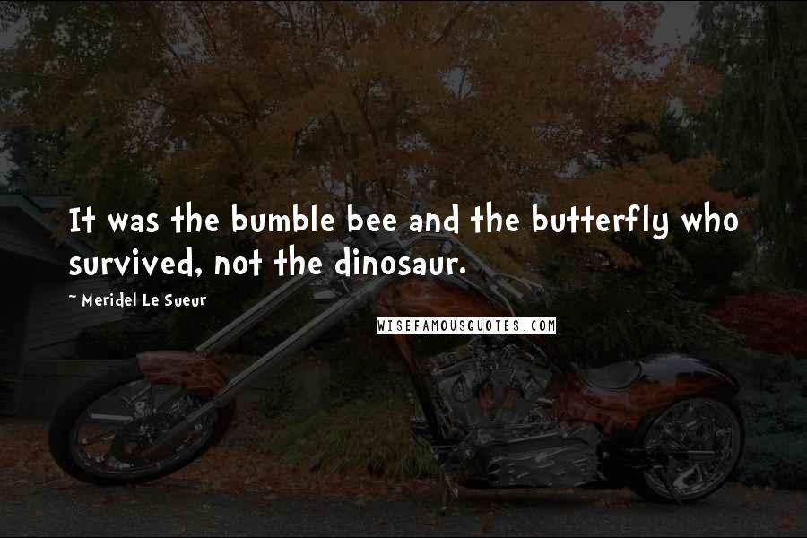 Meridel Le Sueur Quotes: It was the bumble bee and the butterfly who survived, not the dinosaur.
