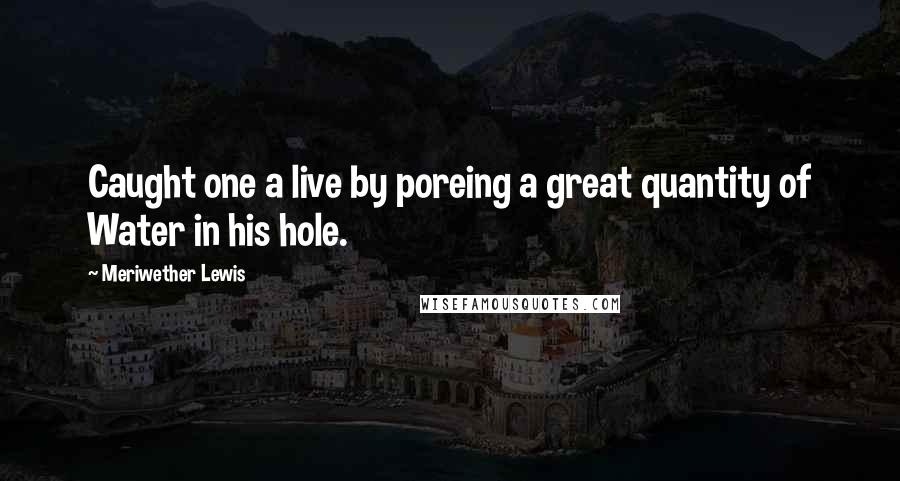 Meriwether Lewis Quotes: Caught one a live by poreing a great quantity of Water in his hole.