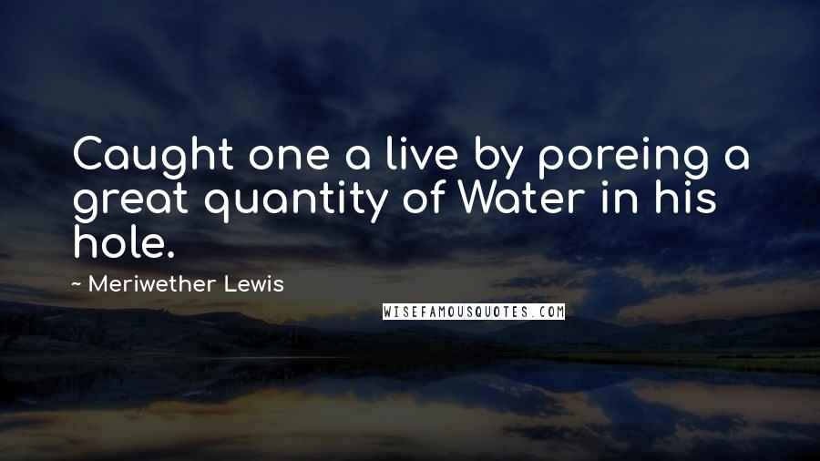 Meriwether Lewis Quotes: Caught one a live by poreing a great quantity of Water in his hole.
