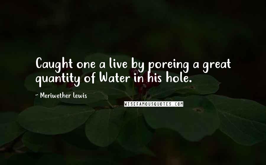 Meriwether Lewis Quotes: Caught one a live by poreing a great quantity of Water in his hole.