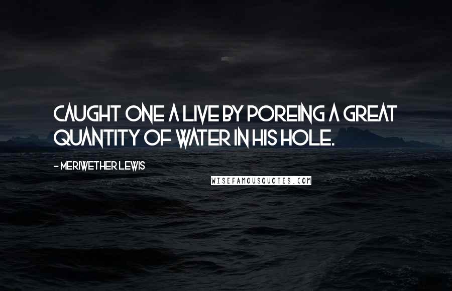 Meriwether Lewis Quotes: Caught one a live by poreing a great quantity of Water in his hole.